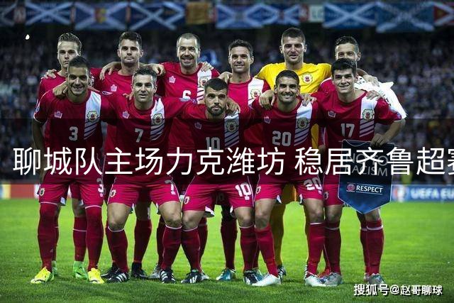 聊城队主场力克潍坊 稳居齐鲁超赛榜首